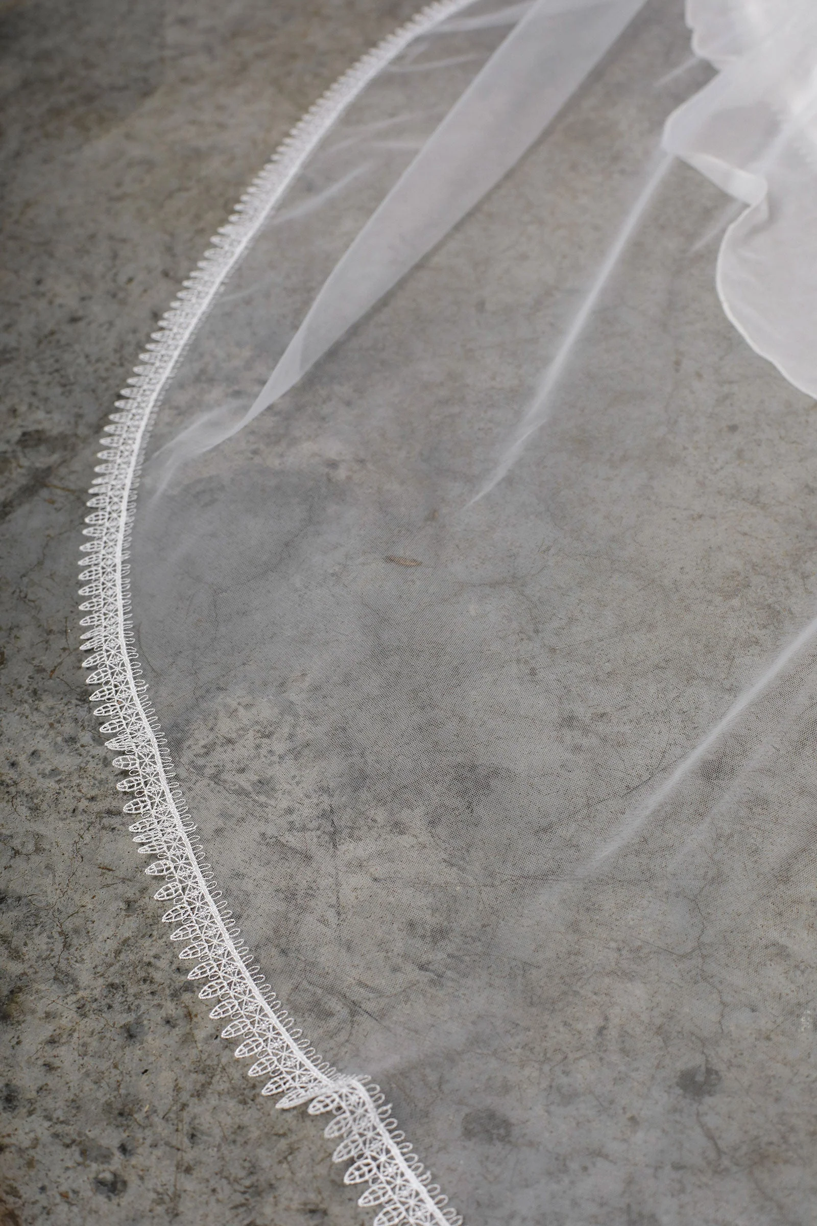 Chelo Veil - Image 6
