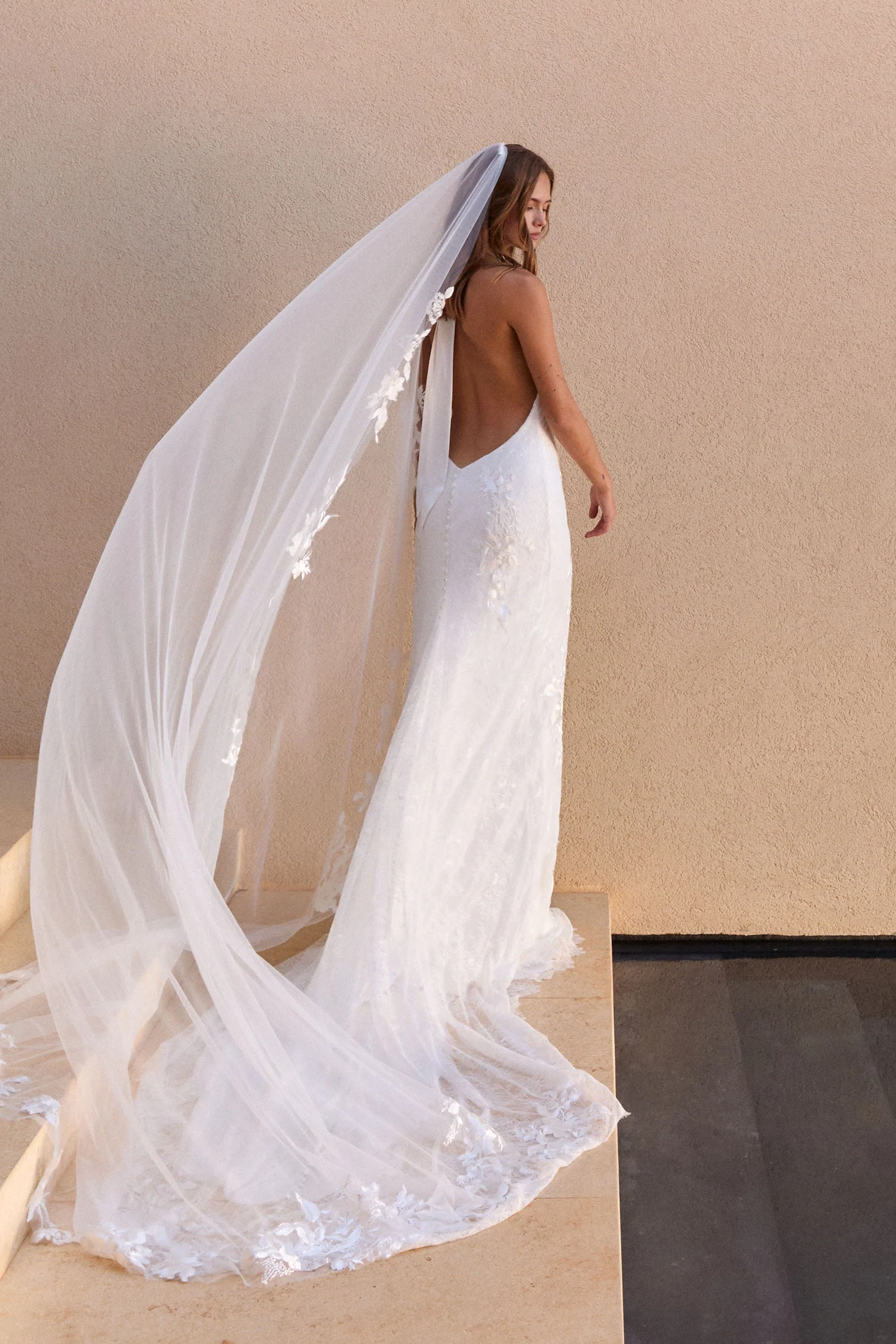 Stevie Veil - Image 3