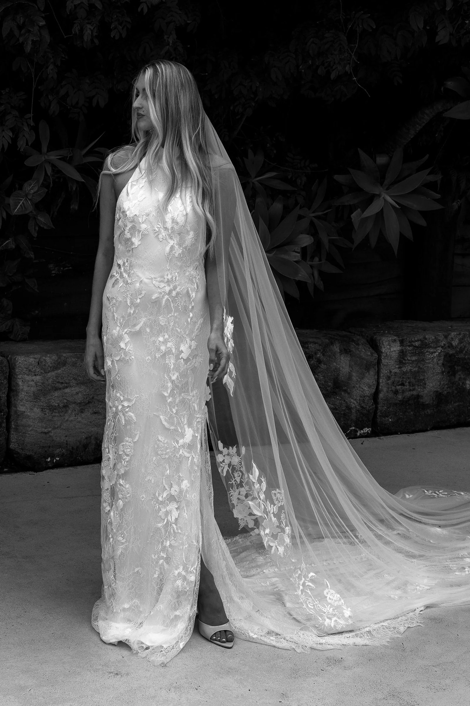 Stevie Veil - Image 7